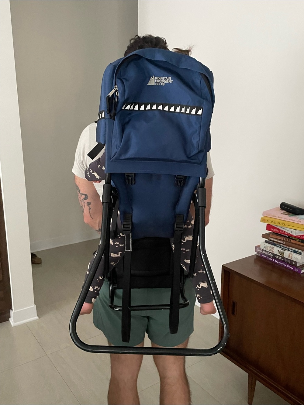 MEC hiking baby backpack carrier